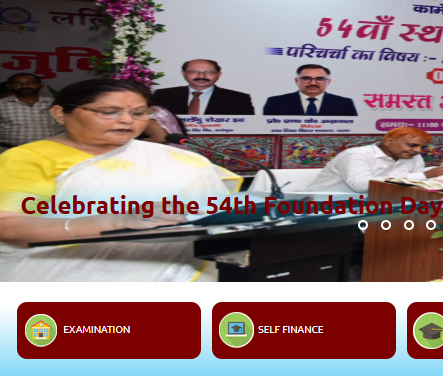 On the homepage, navigate to the "Online Portal" tab.